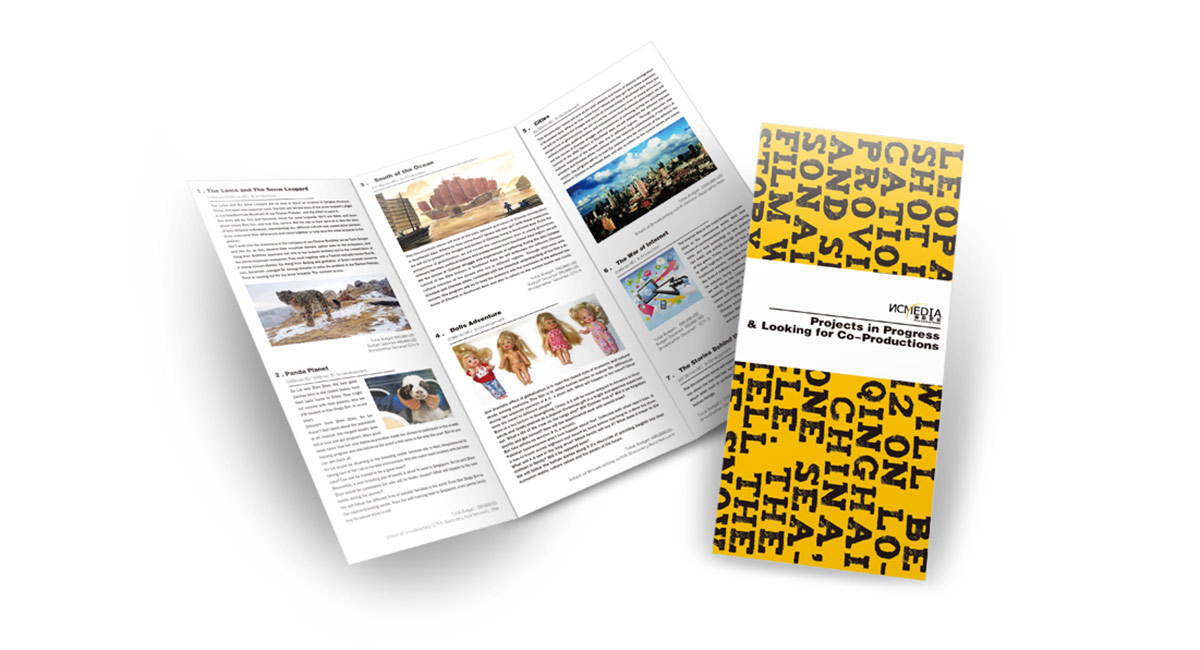 新影世紀(jì)折頁(yè)設(shè)計(jì)