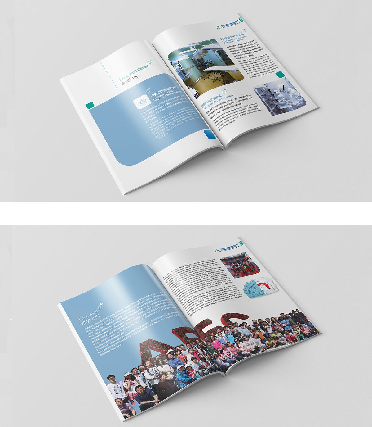 動物研究所畫冊內頁